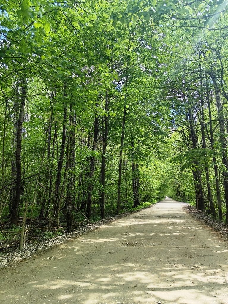 Продажа дачи, 64м <sup>2</sup>, 10 сот., Полянское