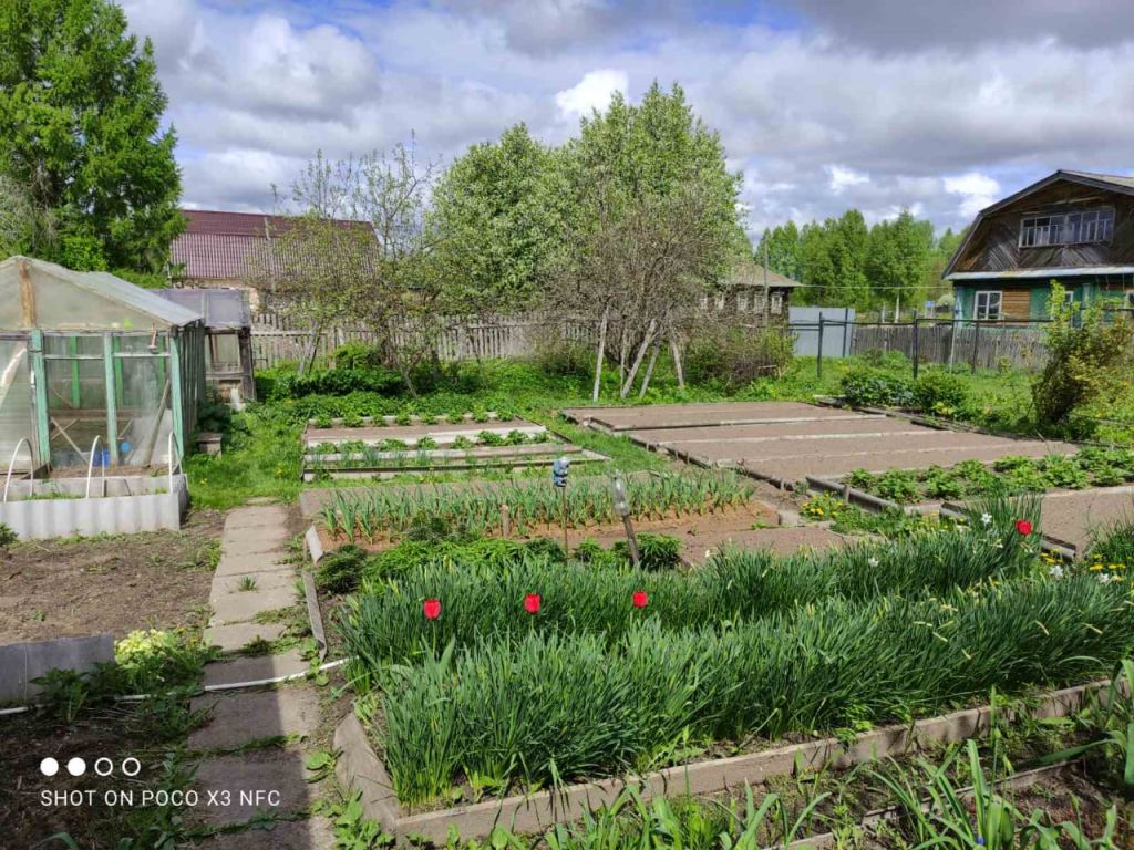 Продажа дома, 242м <sup>2</sup>, 50 сот., Безбородово