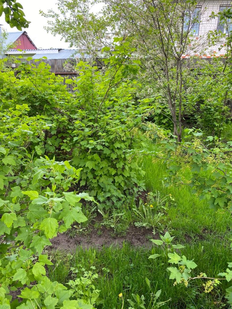 Продажа дома, 103м <sup>2</sup>, 6 сот., Нижний Новгород, Немировича-Данченко ул,  29