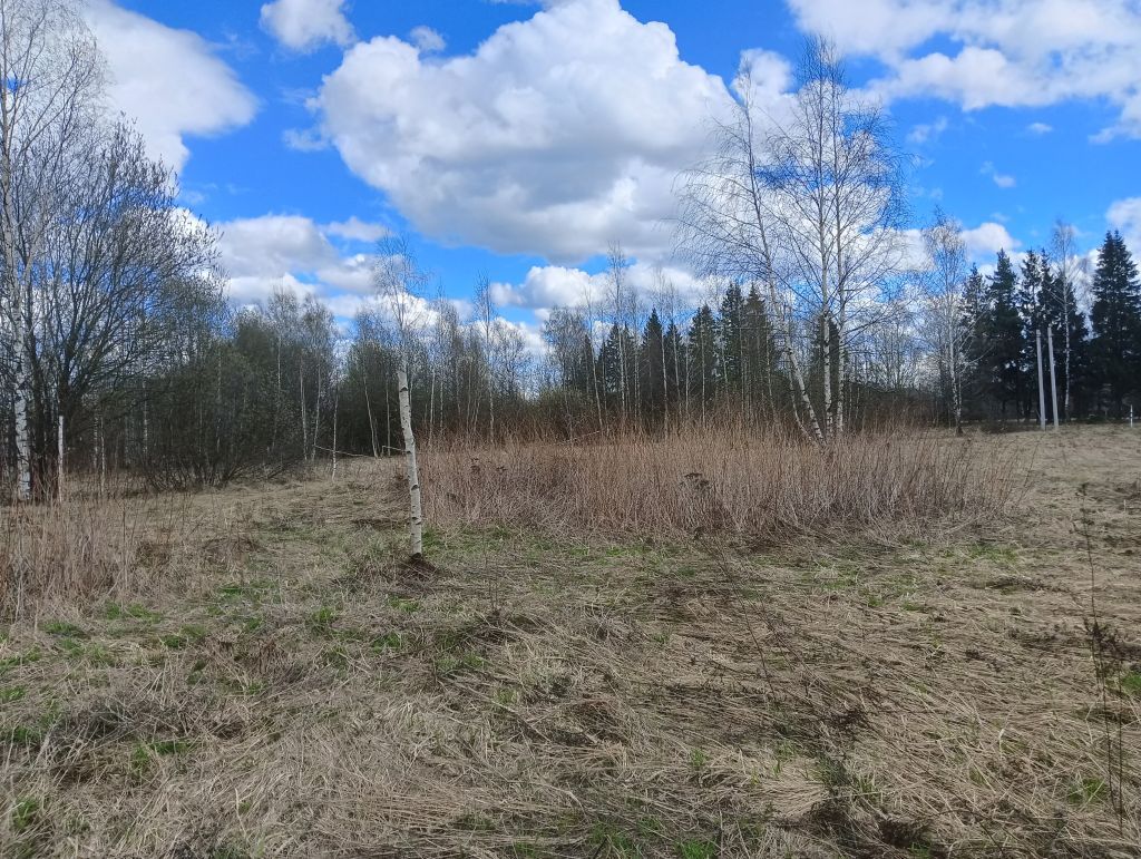 Продажа участка, Анкудиново, Камышовая Улица