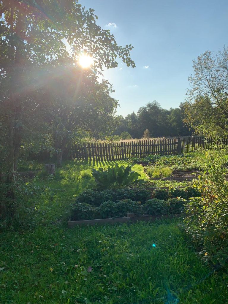 Продажа дома, 60м <sup>2</sup>, 28 сот., Малышево