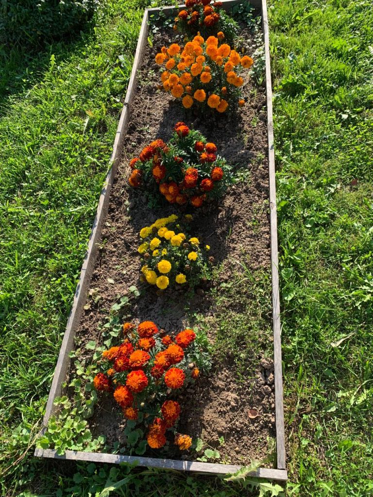 Продажа дома, 60м <sup>2</sup>, 28 сот., Малышево