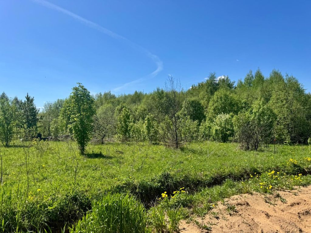 Продажа участка, Городище