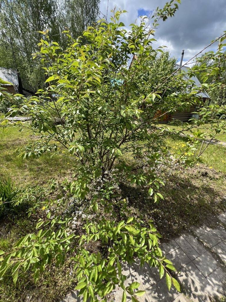 Продажа дачи, 47м <sup>2</sup>, 12 сот., Юловка, СНТ Кооператор