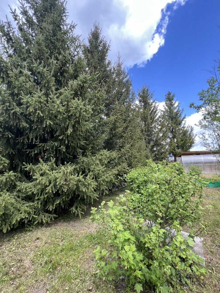 Продажа дачи, 47м <sup>2</sup>, 12 сот., Юловка, СНТ Кооператор