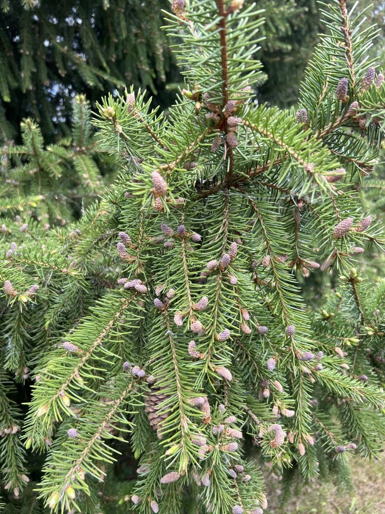 Продажа дачи, 47м <sup>2</sup>, 12 сот., Юловка, СНТ Кооператор