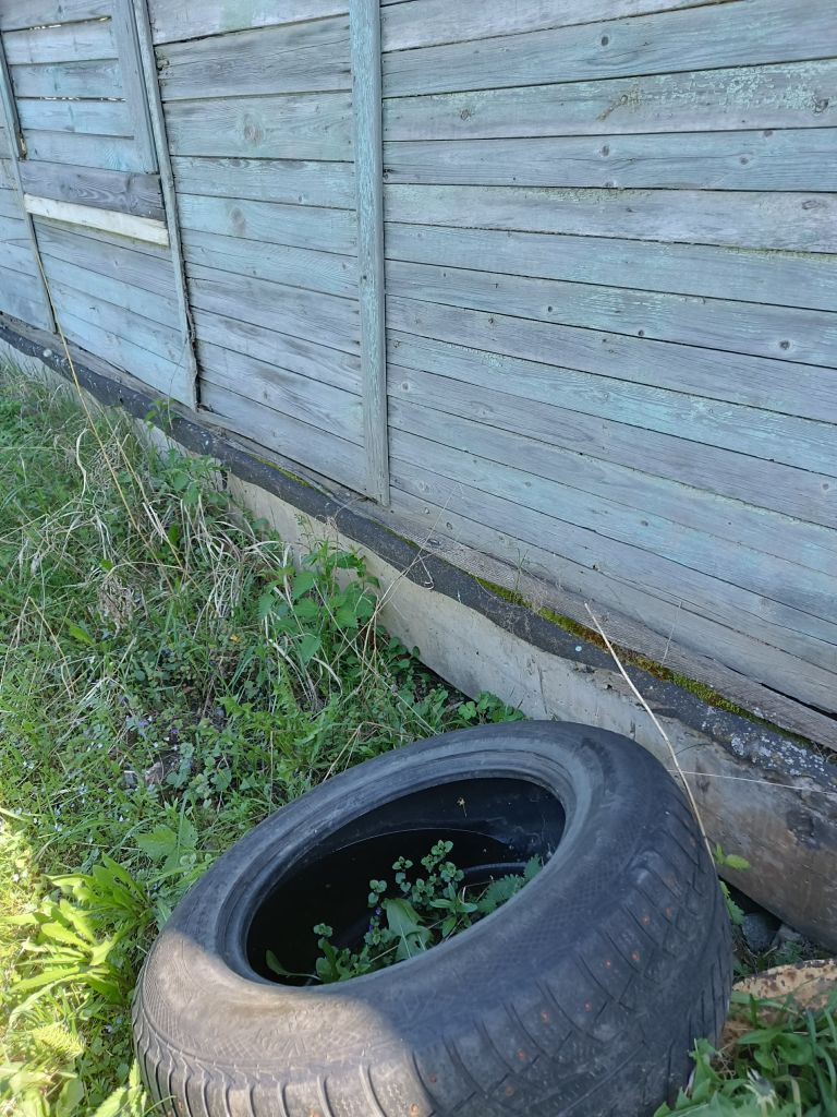 Продажа дачи, 40м <sup>2</sup>, 5 сот., Шеляухово, СНТ 