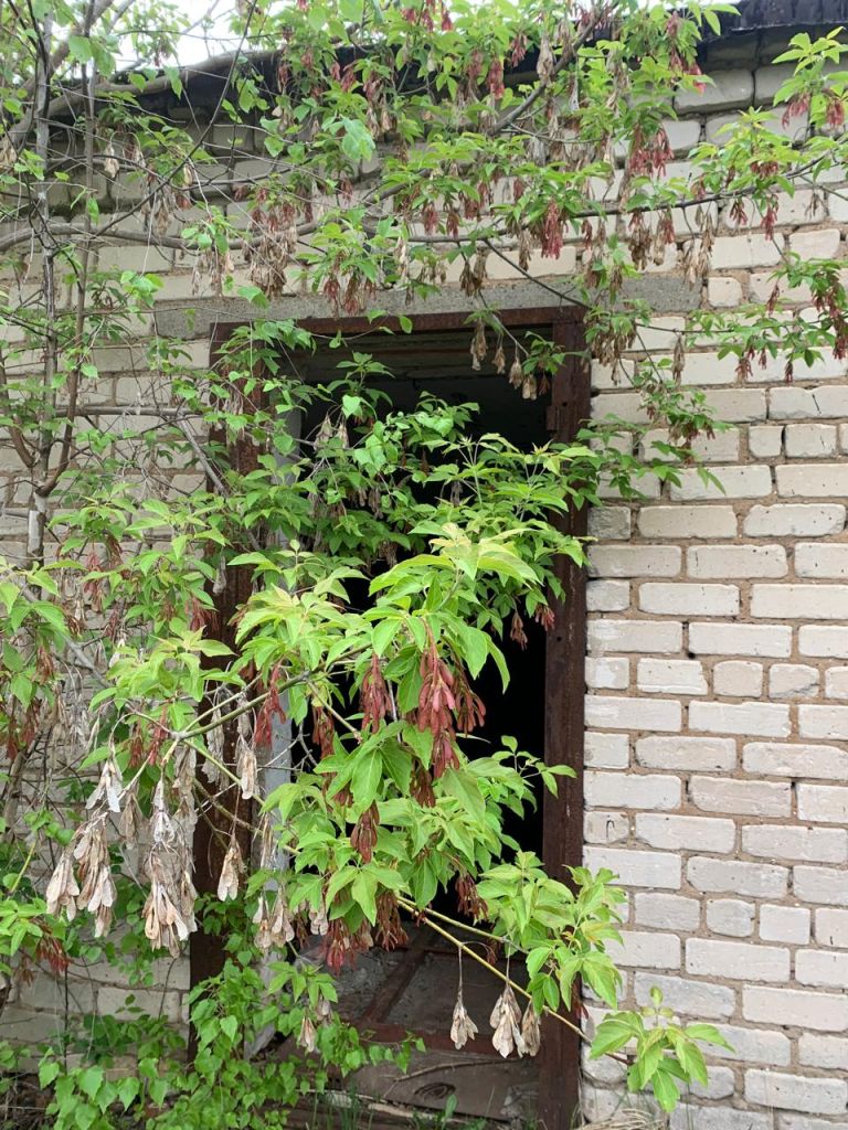 Продажа коммерческой недвижимости, 600м <sup>2</sup>, Приволжск, Фрунзе ул,  1а