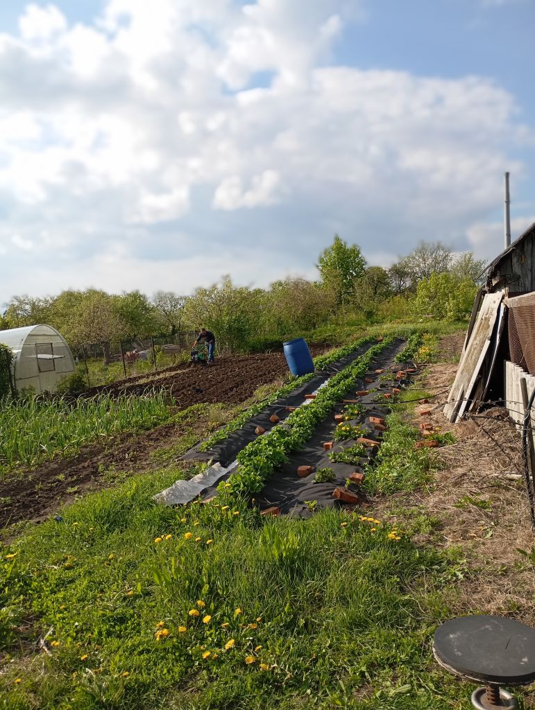 Продажа дома, 25м <sup>2</sup>, 16 сот., Шпилево