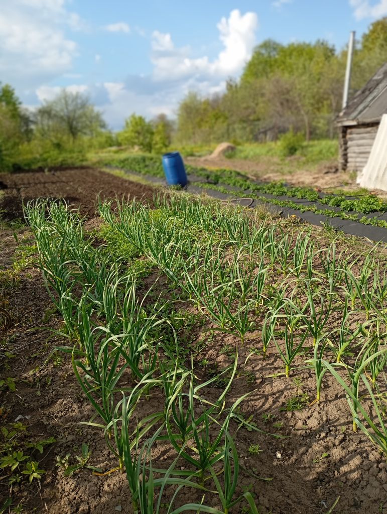 Продажа дома, 25м <sup>2</sup>, 16 сот., Шпилево