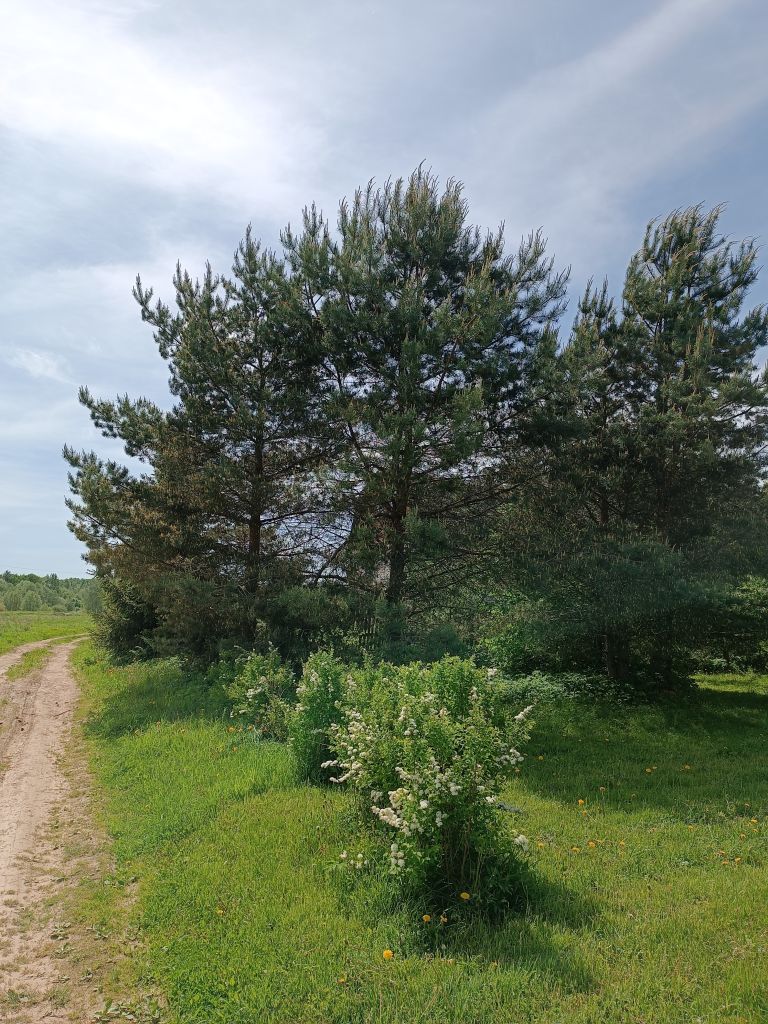 Продажа дома, 151м <sup>2</sup>, 25 сот., Жабино