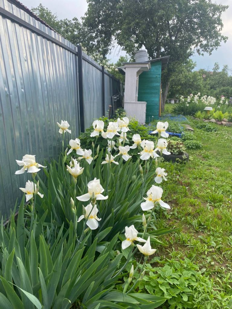 Продажа участка, Нижний Новгород, Новопокровское д,  173