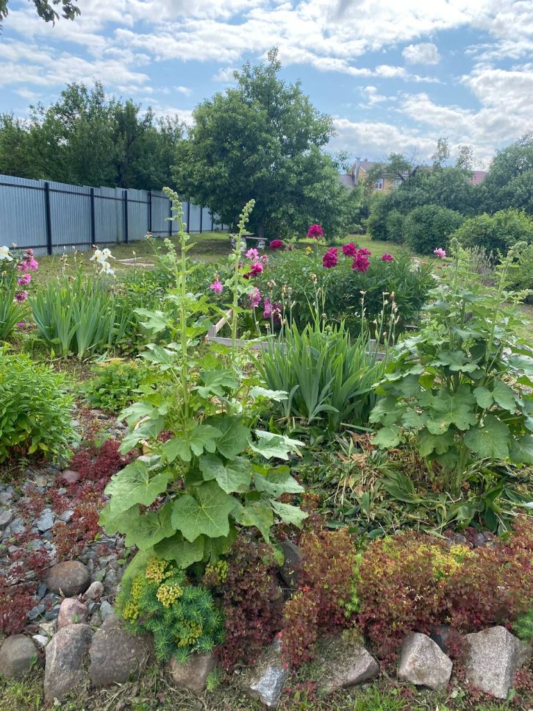 Продажа участка, Нижний Новгород, Новопокровское д,  173