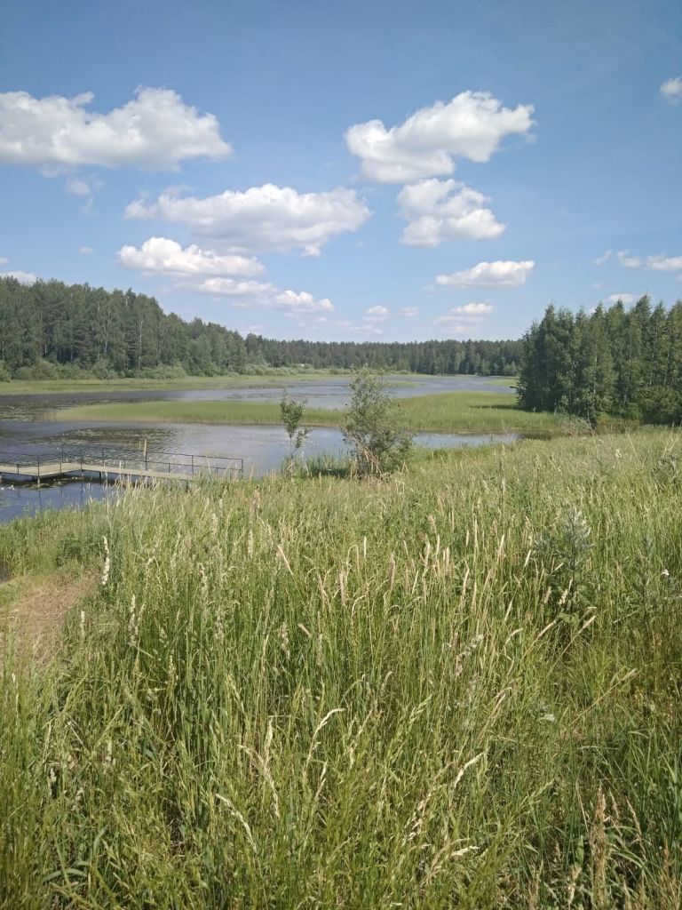 Продажа участка, Ивакино