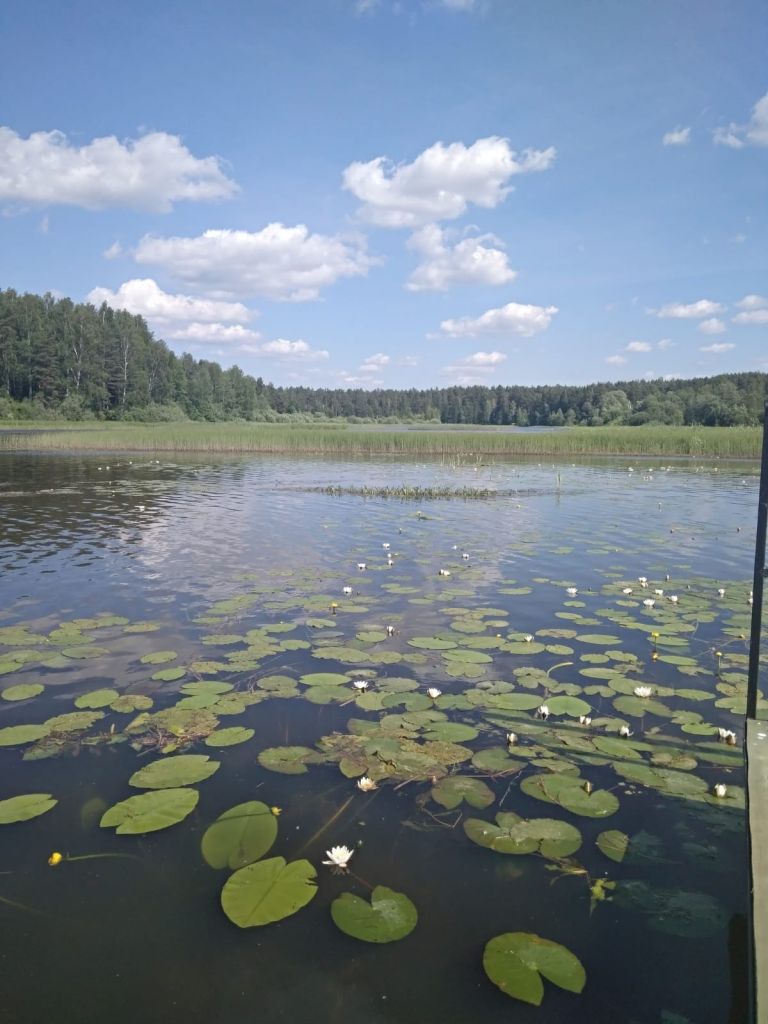 Продажа участка, Ивакино