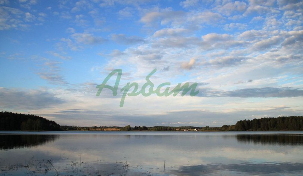 Продажа участка, Гуща