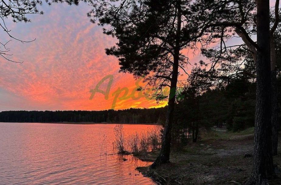 Продажа участка, Гуща