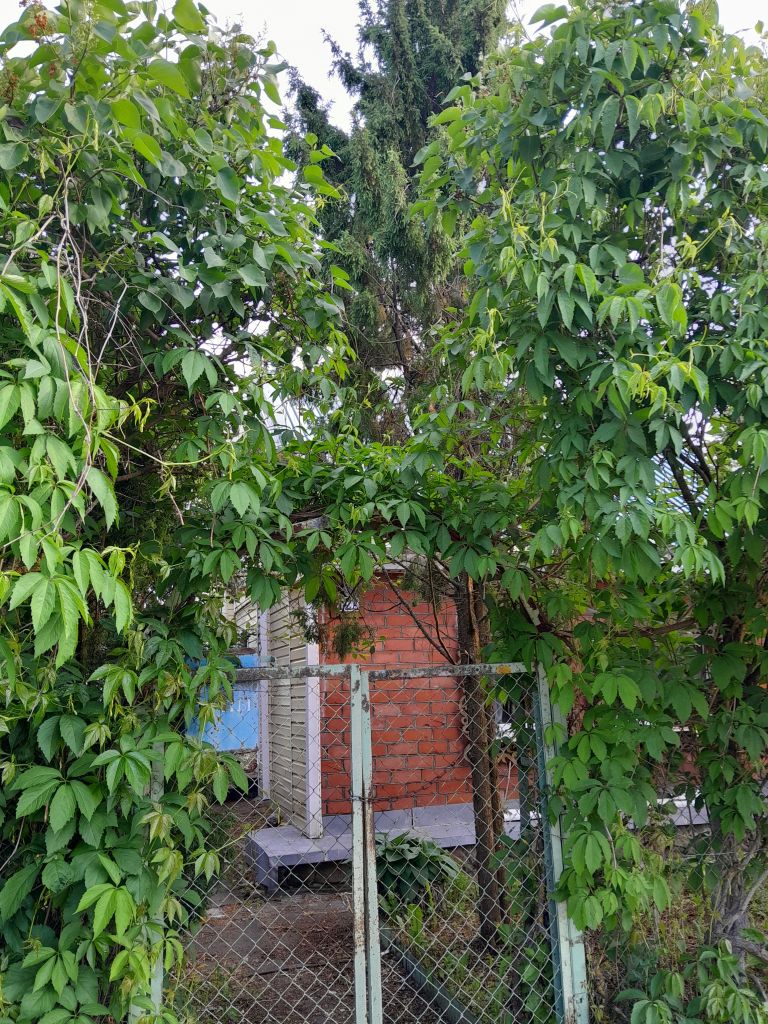 Продажа дома, 48м <sup>2</sup>, 10 сот., Кукарино,  12а