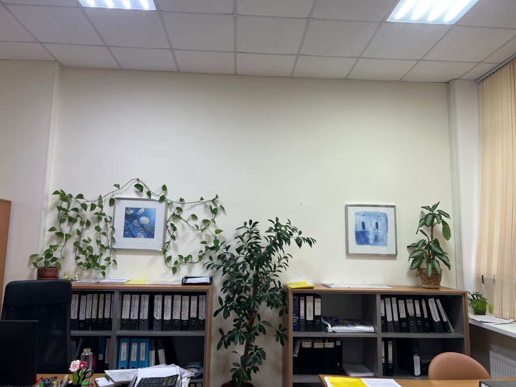 Продажа коммерческой недвижимости, 165м <sup>2</sup>, Нижний Новгород, Ульянова ул,  31