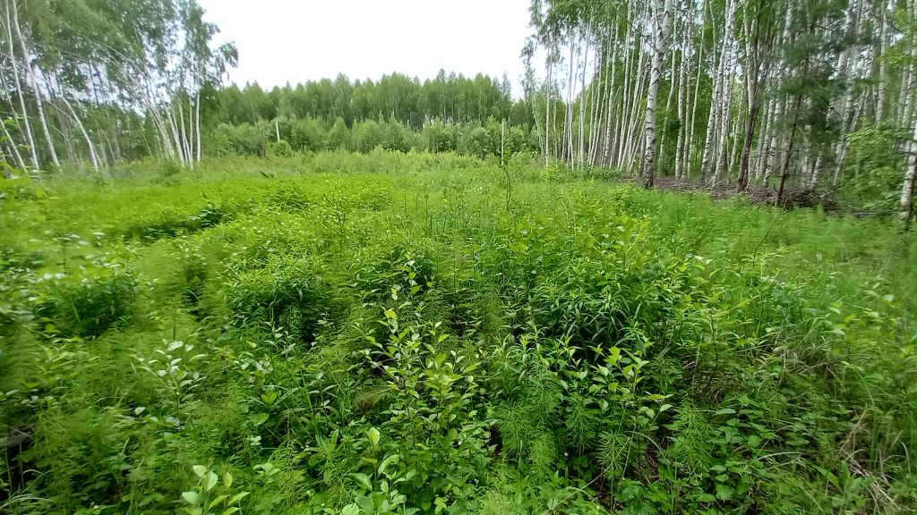 Продажа участка, Ясная Поляна,  98