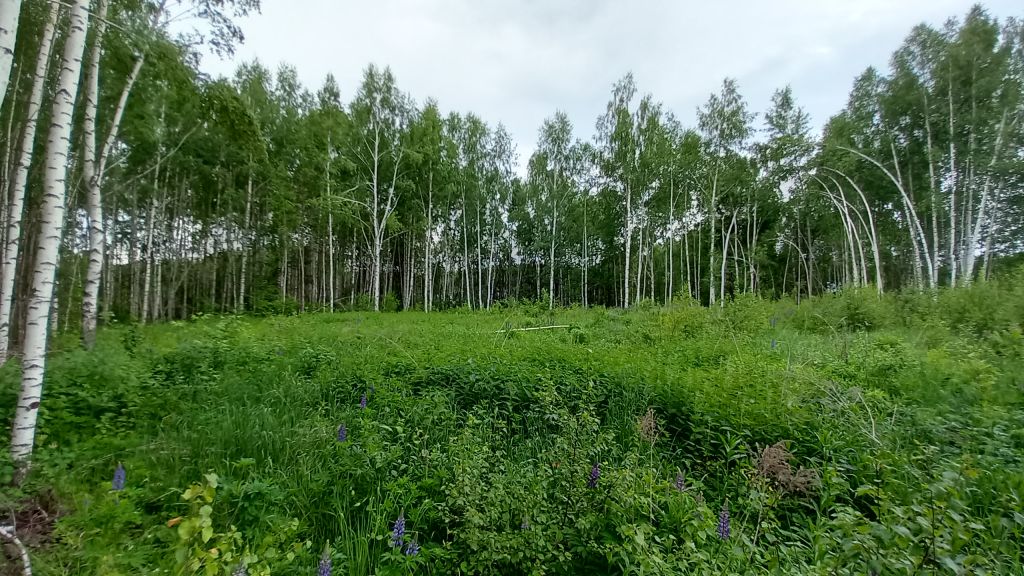 Продажа участка, Ясная Поляна,  98