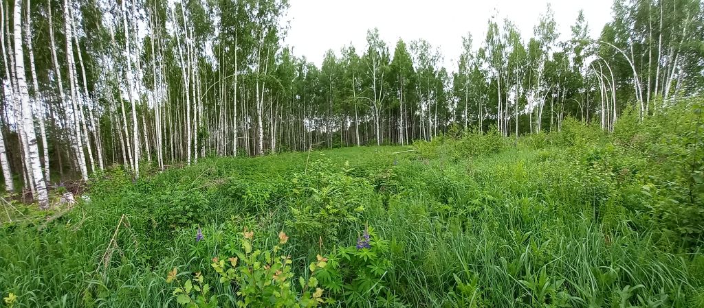 Продажа участка, Ясная Поляна,  98