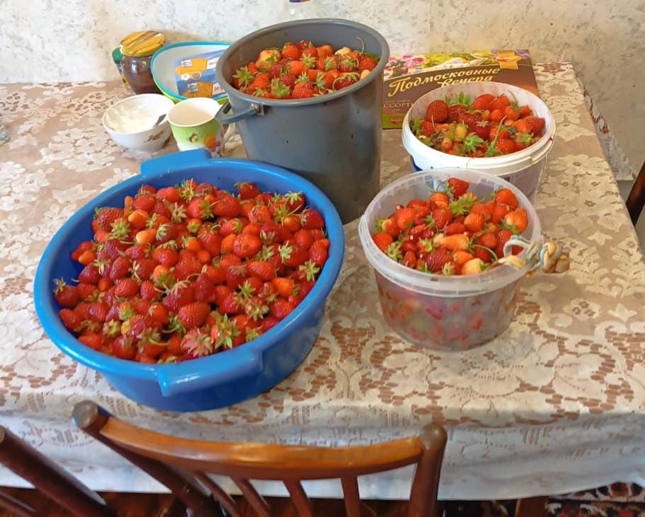 Продажа участка, Ясная Поляна,  98