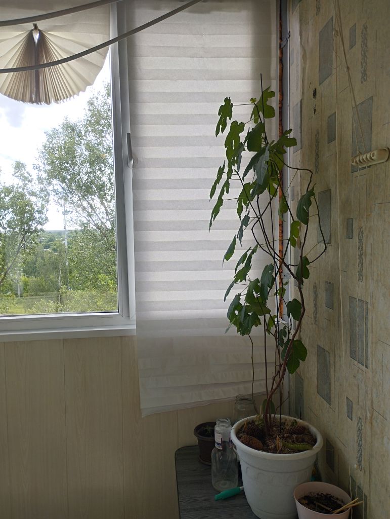 Продажа 1-комнатной квартиры, Нижний Новгород, Строкина ул,  16а