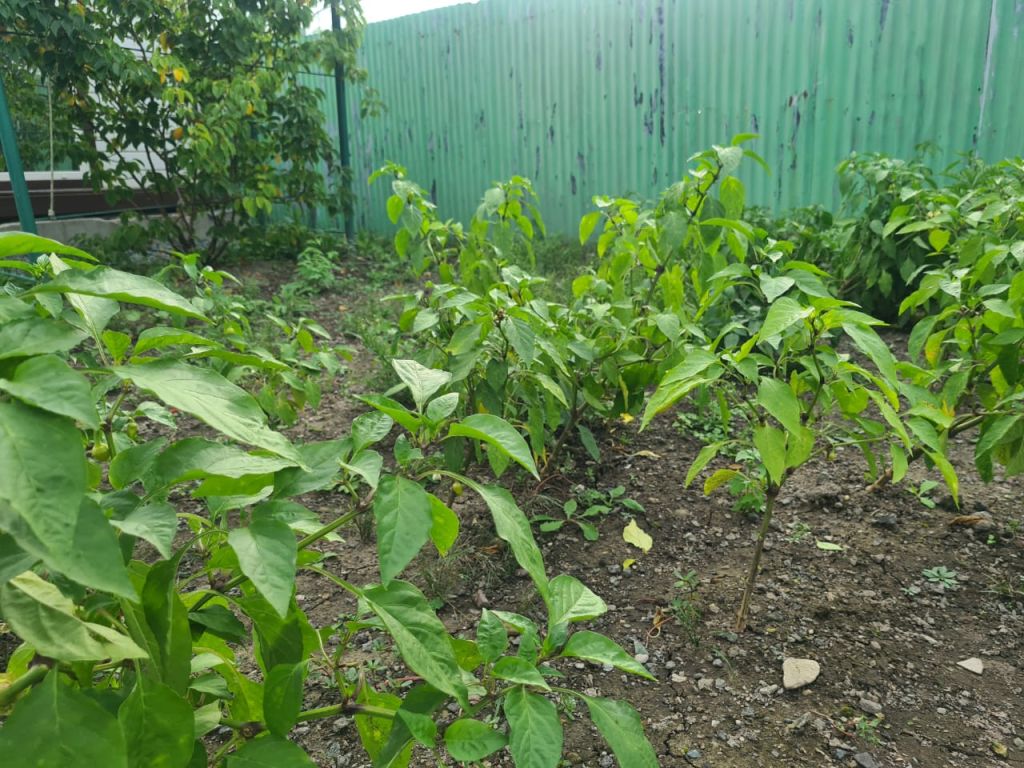 Продажа дома, 162м <sup>2</sup>, 854 сот., Новицкое, юбилейная,  11Б