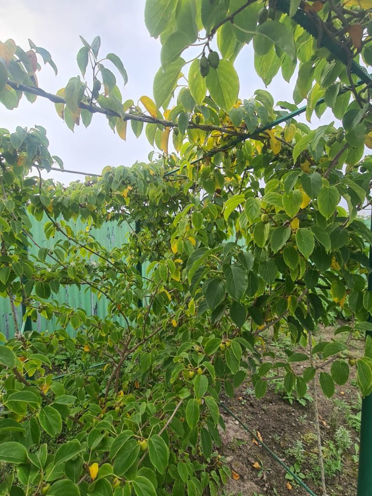 Продажа дома, 162м <sup>2</sup>, 854 сот., Новицкое, юбилейная,  11Б