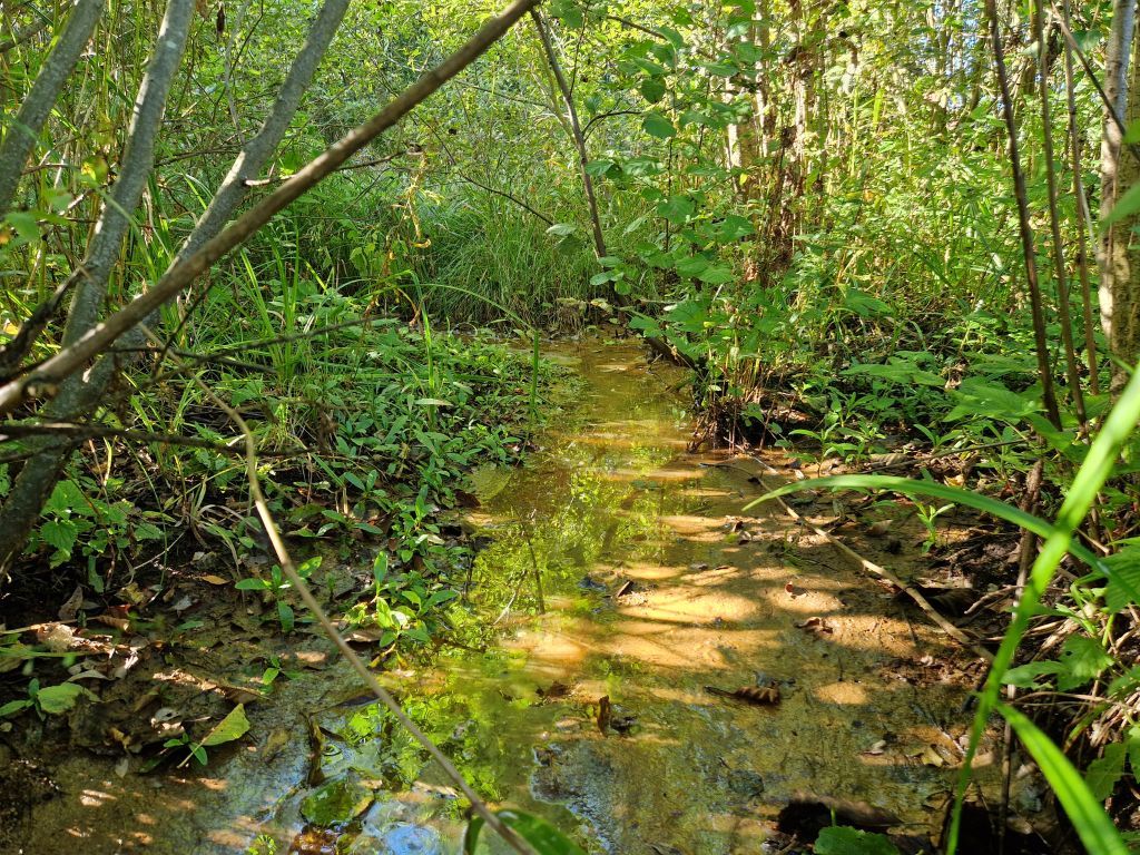 Продажа участка, Уварово, Центральная ул