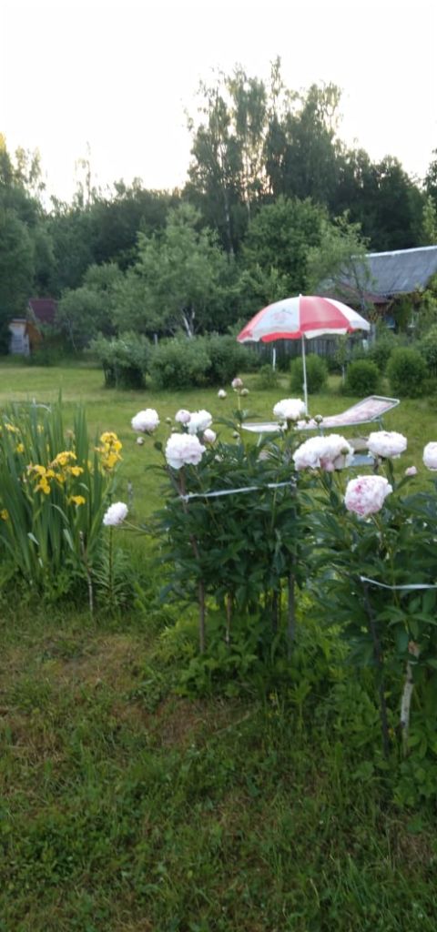 Продажа дома, 42м <sup>2</sup>, 15 сот., Тверская,  46