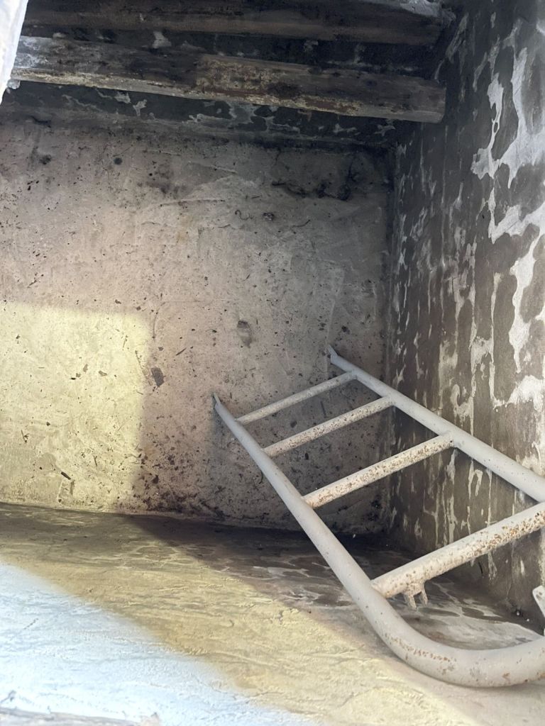 Продажа дома, 60м <sup>2</sup>, 17 сот., Веслево, Школьная,  29