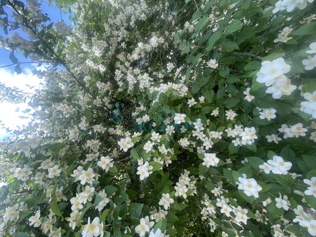 Продажа 1-комнатной квартиры, Нижний Новгород, Вторчермета ул,  12