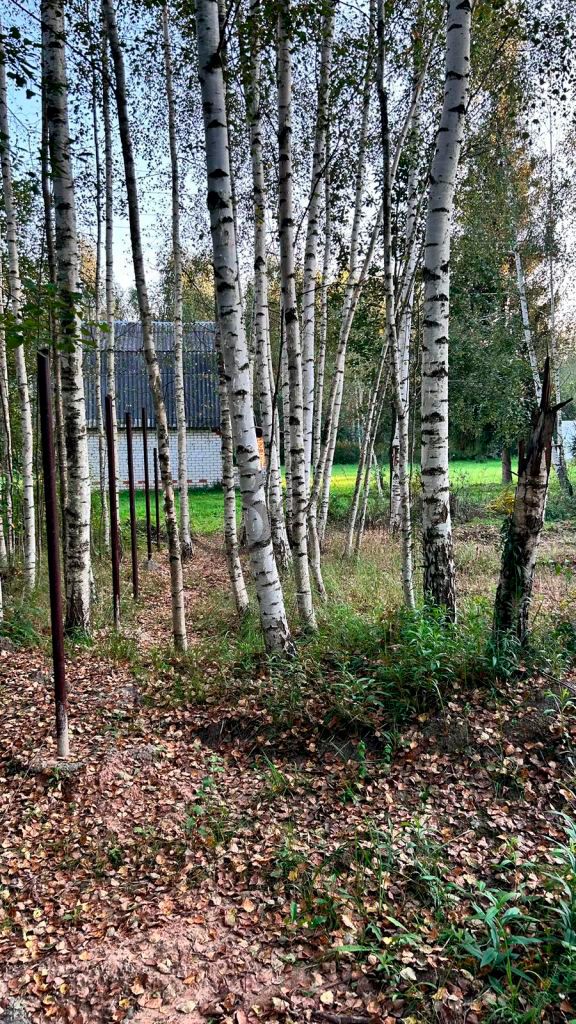 Продажа дома, 168м <sup>2</sup>, 10 сот., Нижегородская