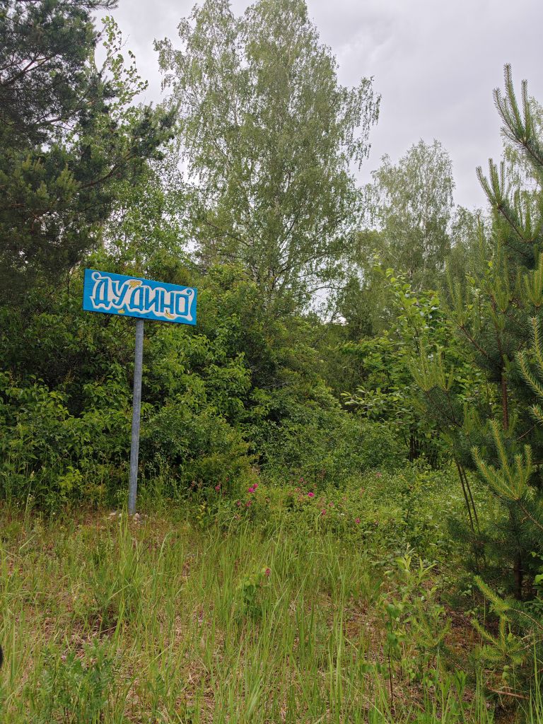 Продажа дома, 120м <sup>2</sup>, 9 сот., Дудино