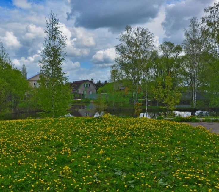 Продажа участка, Маньково