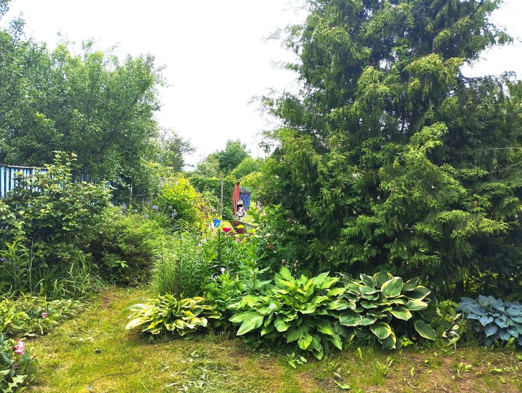 Продажа дома, 88м <sup>2</sup>, 14 сот., Пасынково