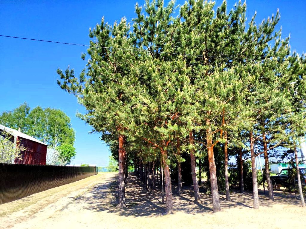 Продажа участка, Паточного завода,  35