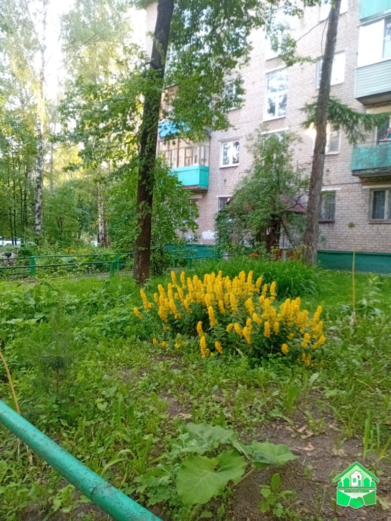 Продажа 1-комнатной квартиры, Ярославль, Кривова ул,  55