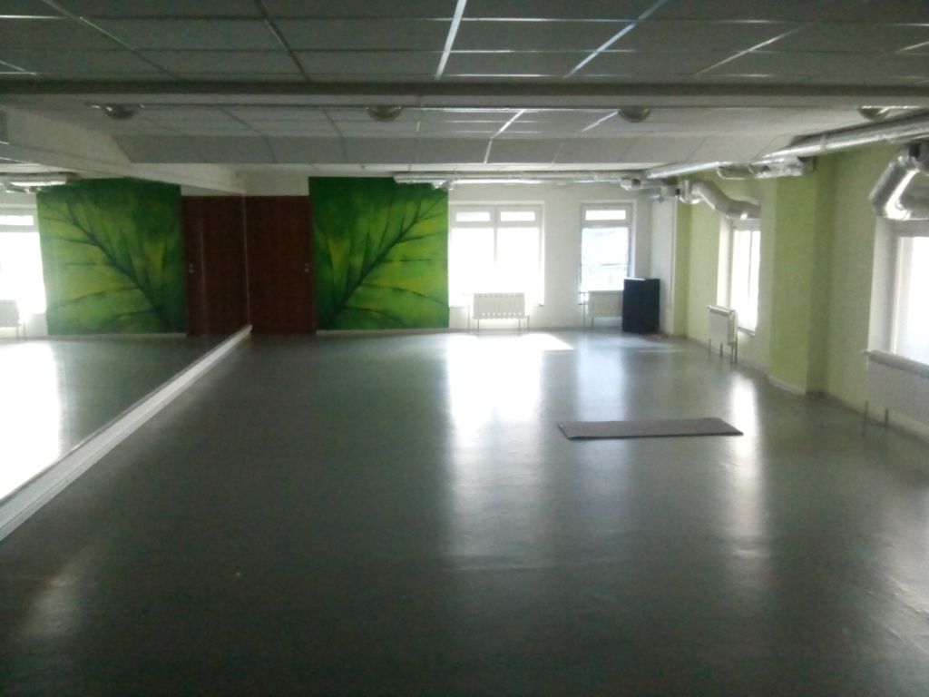 Аренда коммерческой недвижимости, 355м <sup>2</sup>, Нижний Новгород, Новая ул,  51