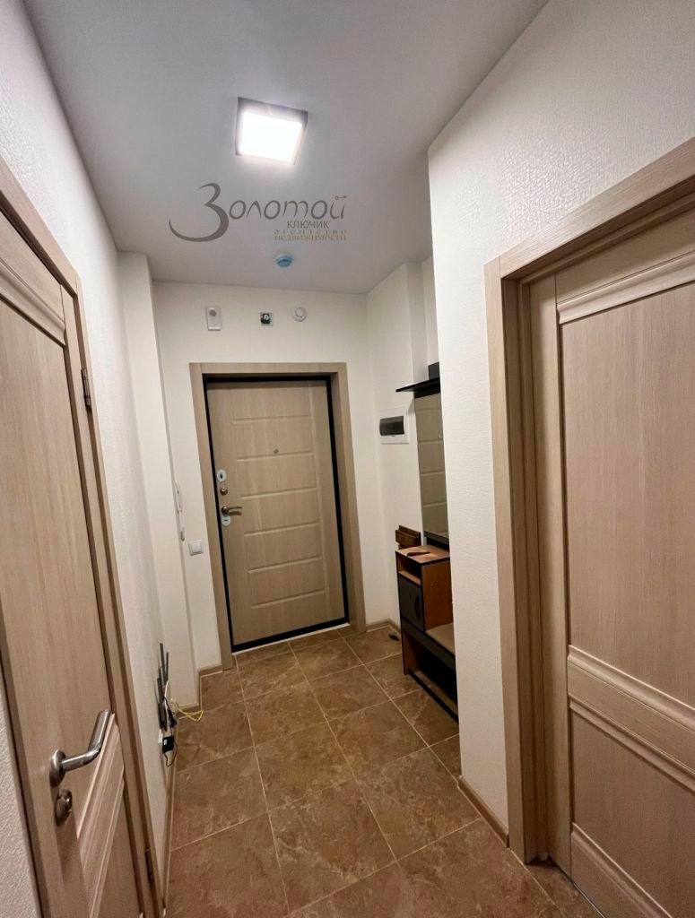 Продажа 1-комнатной квартиры, Анкудиновка, Русская ул,  19