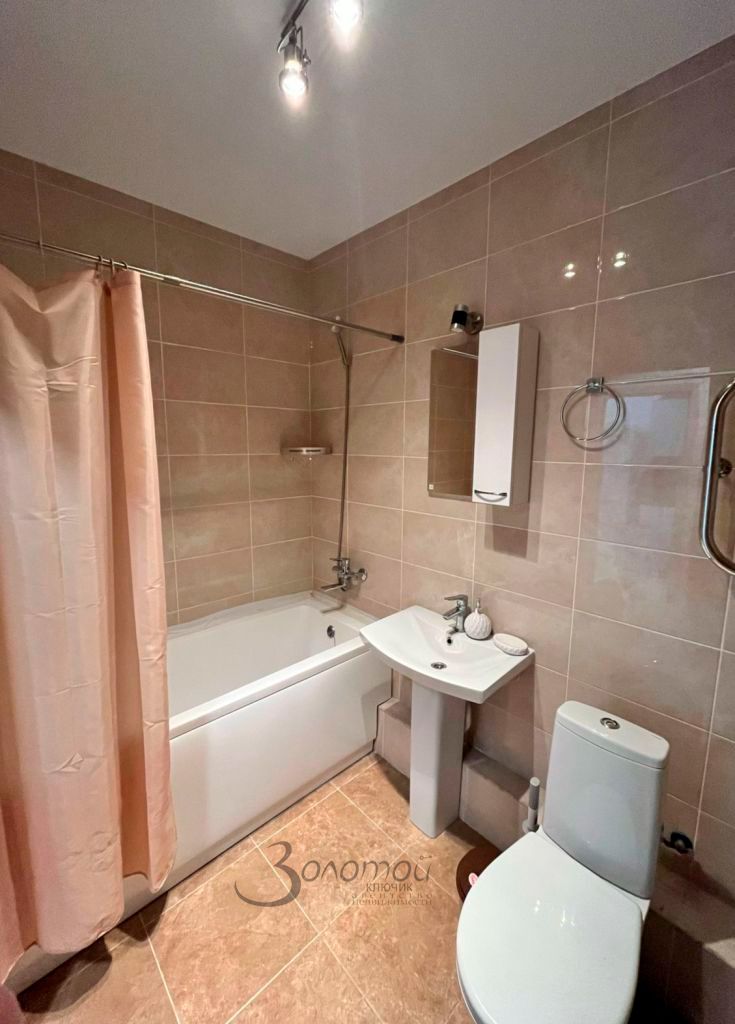 Продажа 1-комнатной квартиры, Анкудиновка, Русская ул,  19