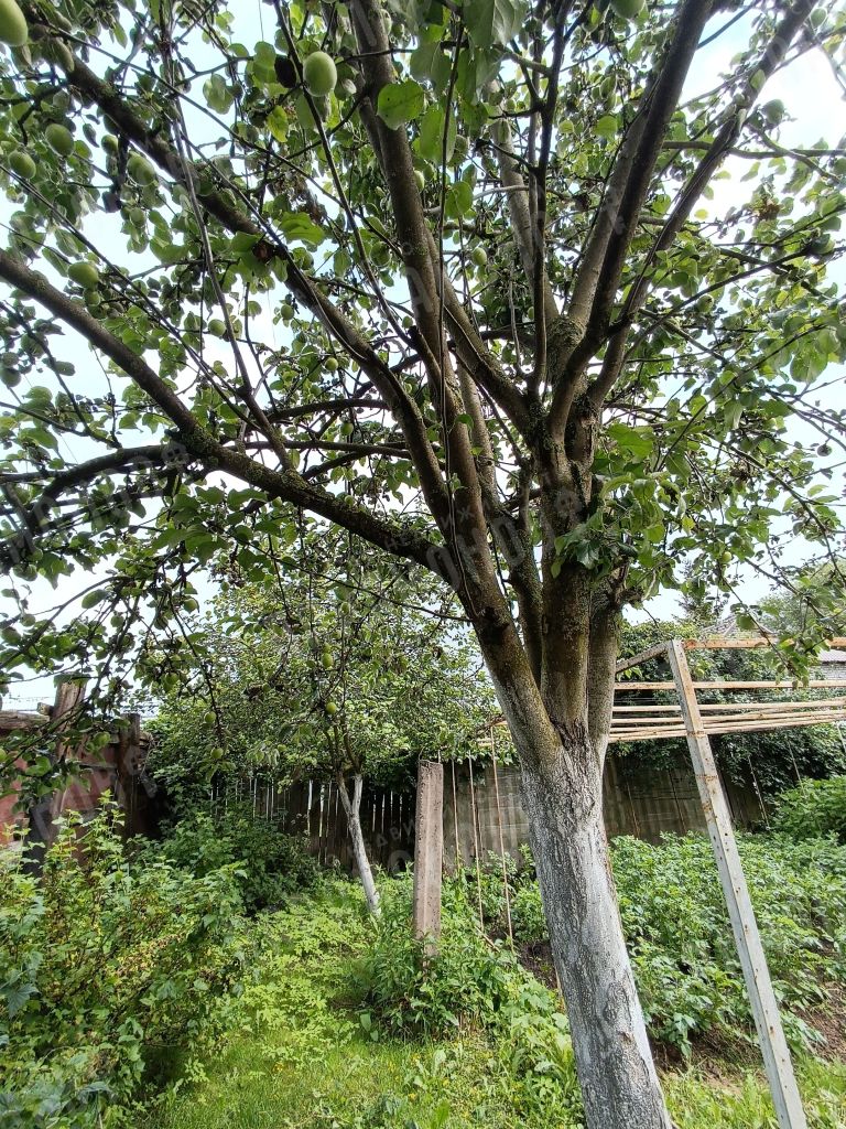 Продажа дома, 118м <sup>2</sup>, 8 сот., Тверь, За Линией Октябрьской ж/д 2-я ул