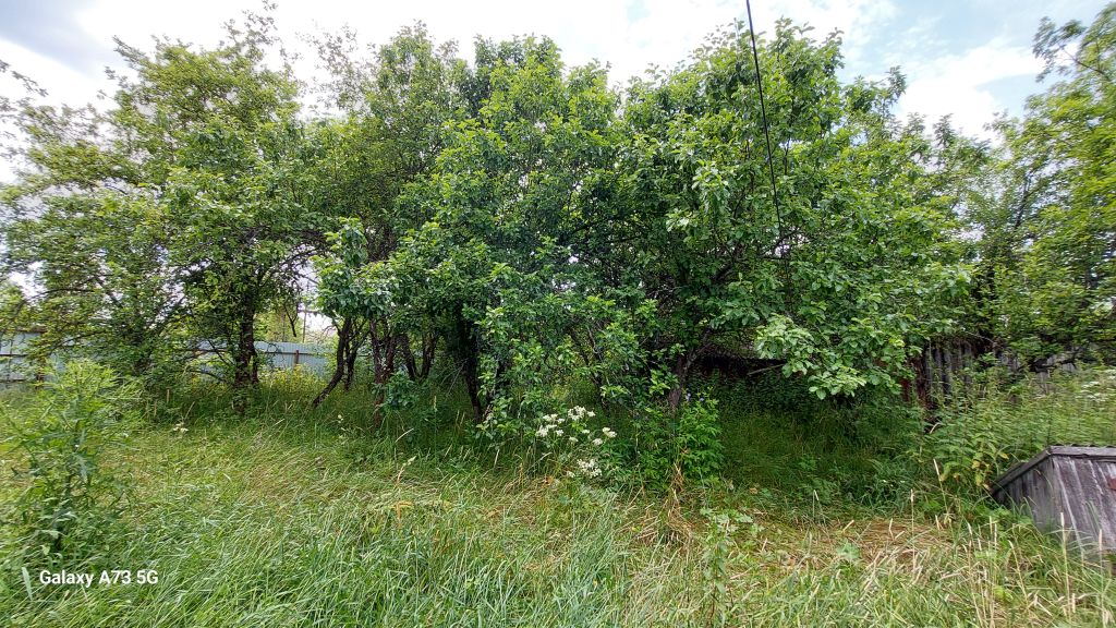 Продажа дома, 58м <sup>2</sup>, 64 сот., Василево