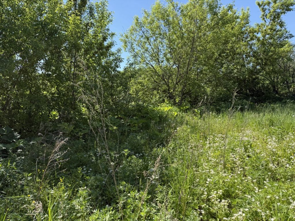 Продажа дома, 52м <sup>2</sup>, 6 сот., Малое Чухово,  1