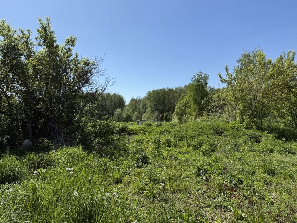 Продажа дома, 52м <sup>2</sup>, 6 сот., Малое Чухово,  1