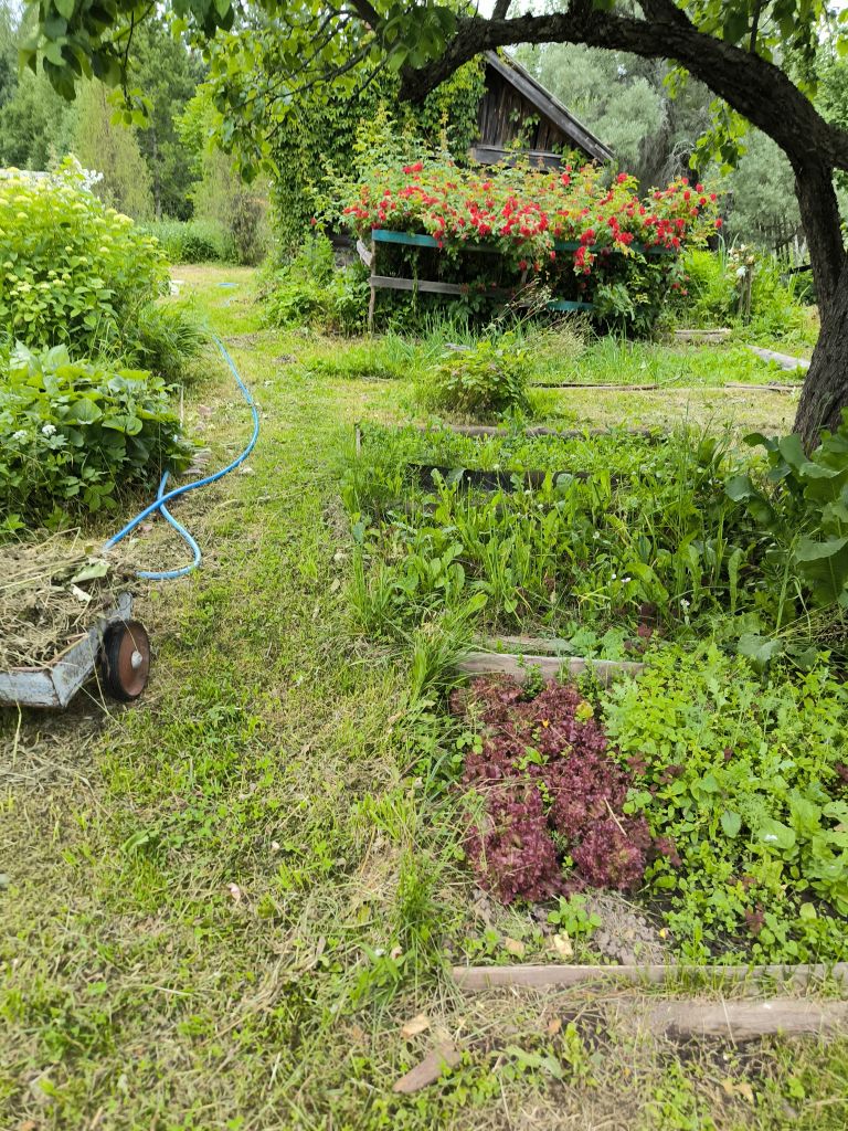 Продажа дома, 43м <sup>2</sup>, 52 сот., Ступкино,  2