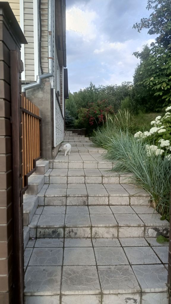 Продажа дома, 186м <sup>2</sup>, 18 сот., Трофимовка,  46