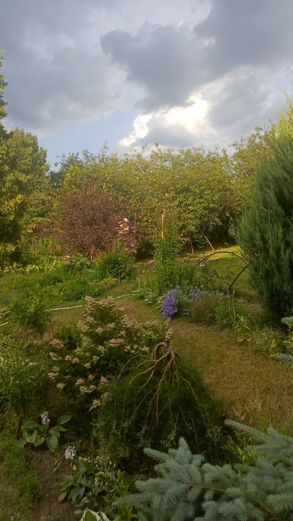 Продажа дома, 186м <sup>2</sup>, 18 сот., Трофимовка,  46